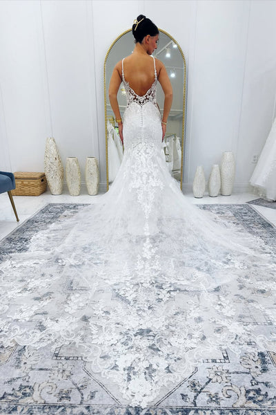 Gorgeous Mermaid V Neck Lace Wedding Dress with Appliques DM1112210